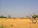 12. campagna riarsa.JPG